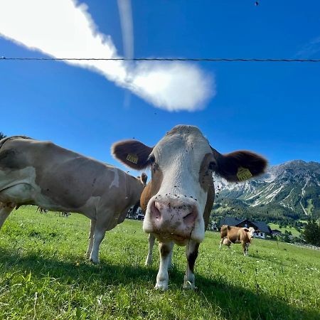 Pension Moslehnerhof Ramsau am Dachstein Luaran gambar