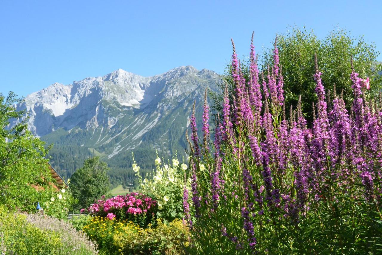 Pension Moeslehnerhof Ramsau am Dachstein Luaran gambar