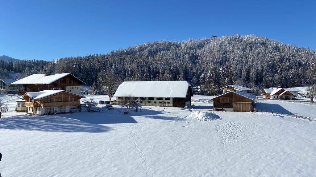 Pension Moeslehnerhof Ramsau am Dachstein Luaran gambar